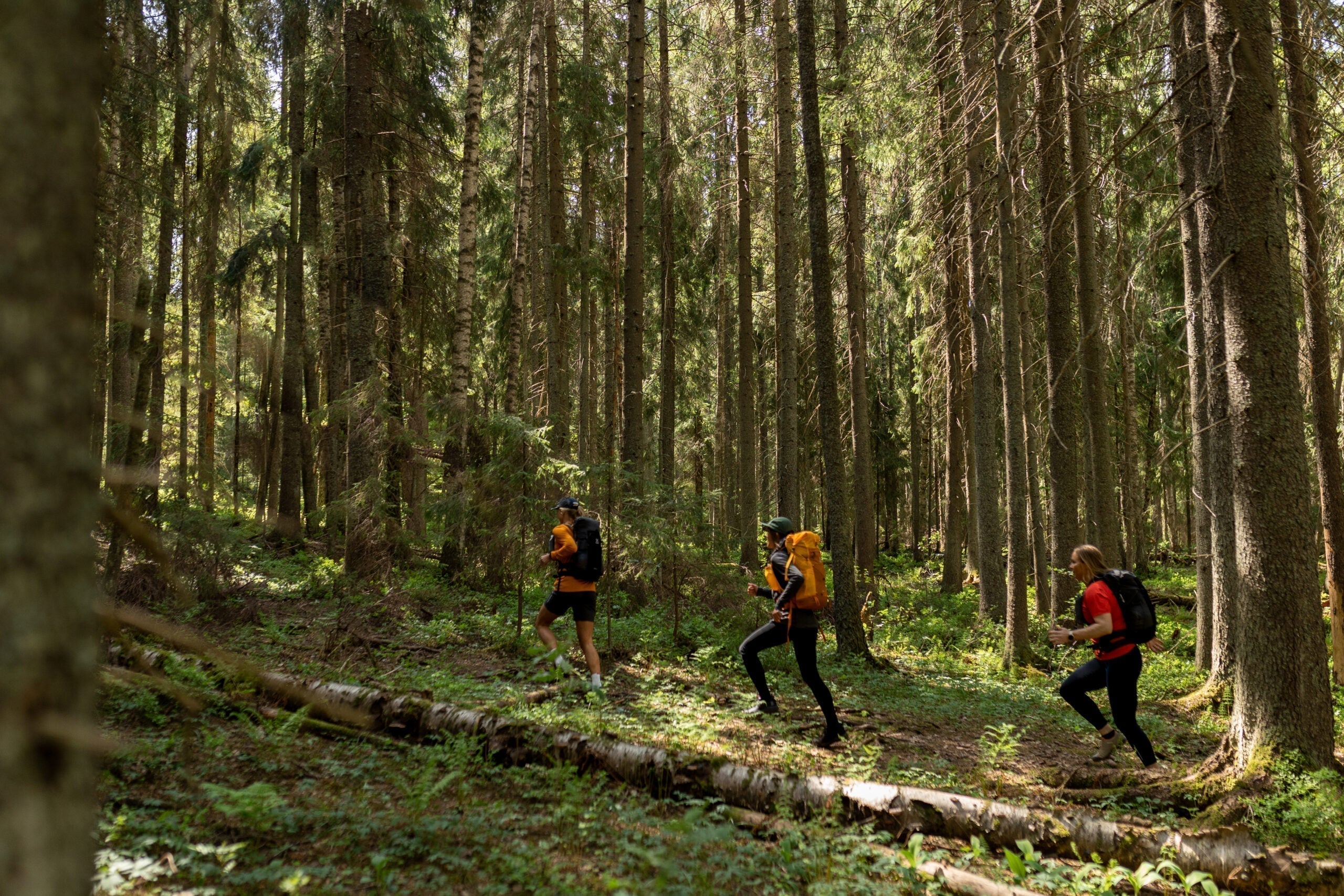 Fastpacking Sipoonkorvessa - näillä vinkeillä pääset alkuun